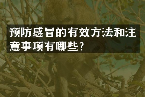 预防感冒的有效方法和注意事项有哪些？