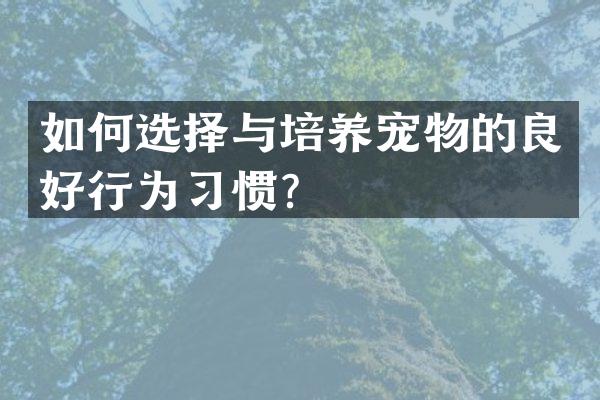 如何选择与培养宠物的良好行为习惯？