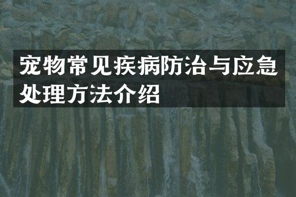 宠物常见疾病防治与应急处理方法介绍
