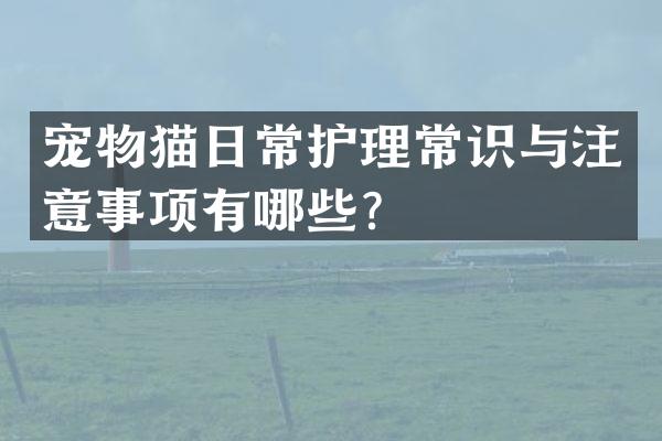 宠物猫日常护理常识与注意事项有哪些？