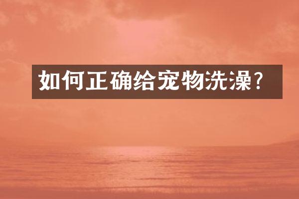 如何正确给宠物洗澡？