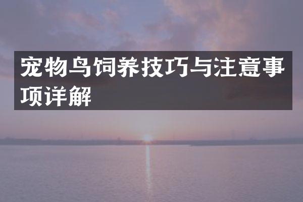 宠物鸟饲养技巧与注意事项详解
