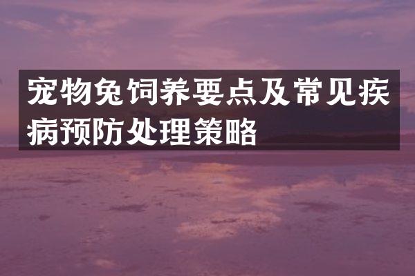 宠物兔饲养要点及常见疾病预防处理策略
