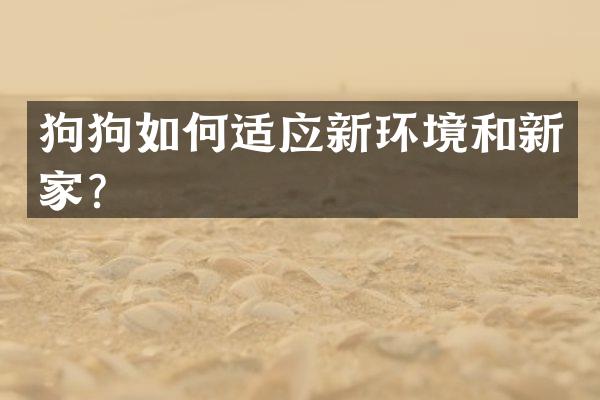 狗狗如何适应新环境和新家？