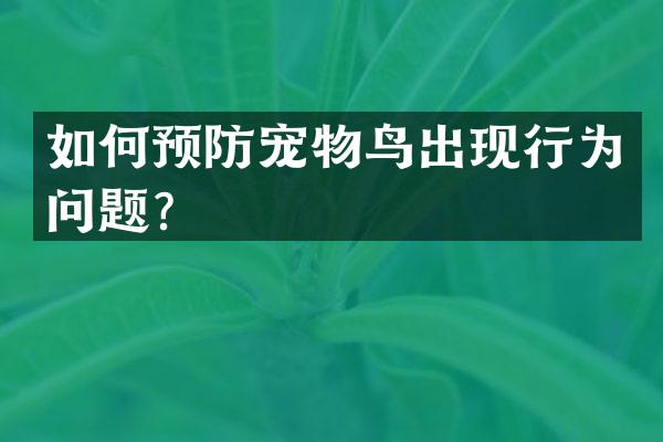 如何预防宠物鸟出现行为问题？