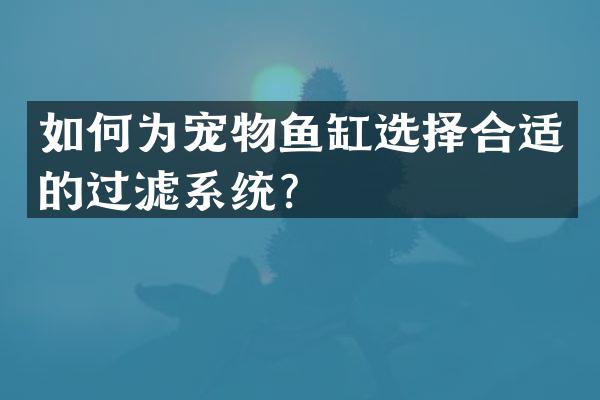 如何为宠物鱼缸选择合适的过滤系统？