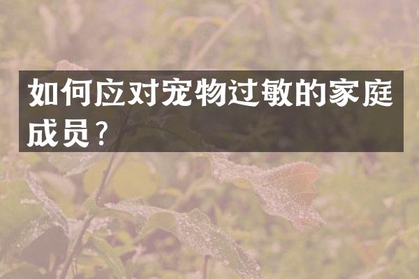 如何应对宠物过敏的家庭成员？