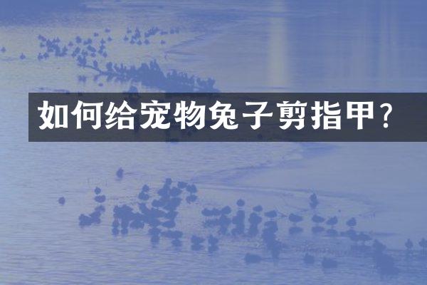 如何给宠物兔子剪指甲？