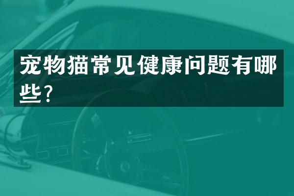宠物猫常见健康问题有哪些？