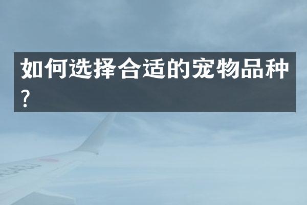 如何选择合适的宠物品种？