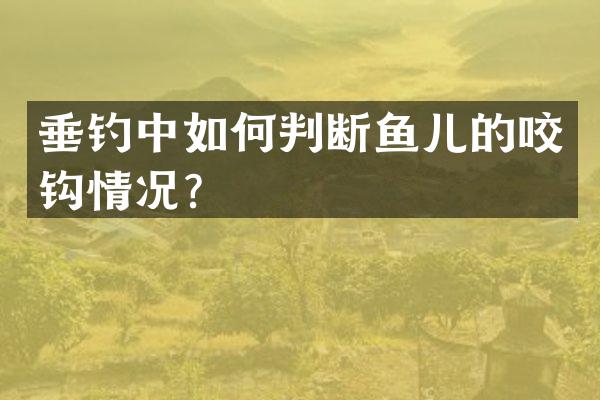 垂钓中如何判断鱼儿的咬钩情况？