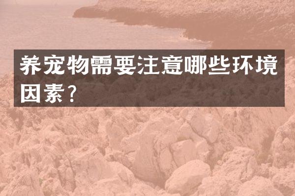 养宠物需要注意哪些环境因素？