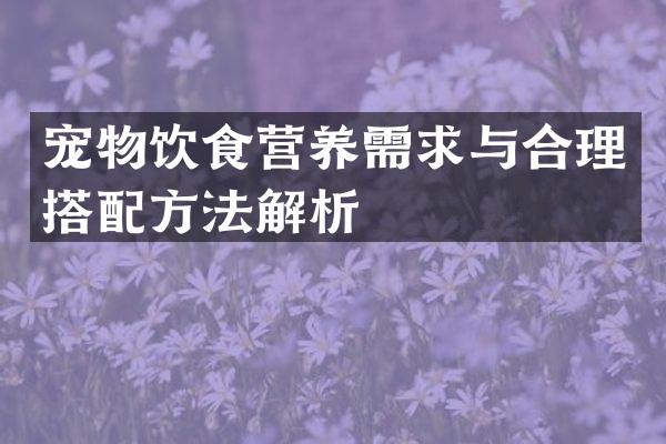 宠物饮食营养需求与合理搭配方法解析