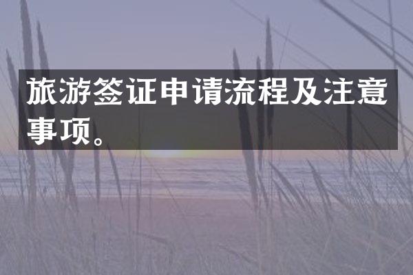 旅游签证申请流程及注意事项。