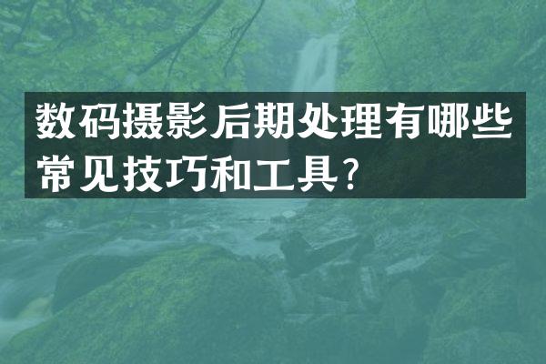 数码摄影后期处理有哪些常见技巧和工具？