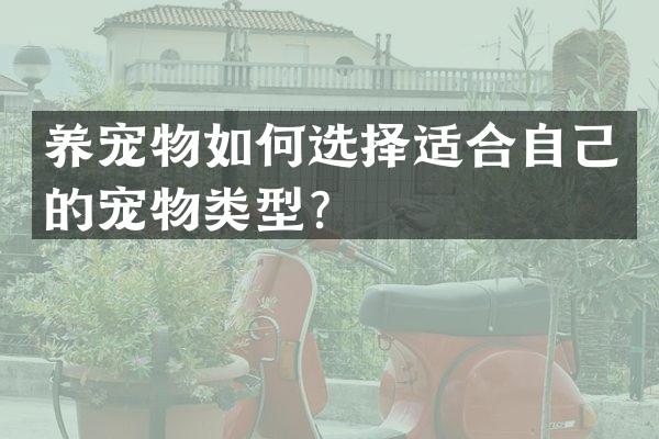 养宠物如何选择适合自己的宠物类型？