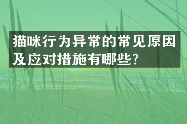 猫咪行为异常的常见原因及应对措施有哪些？