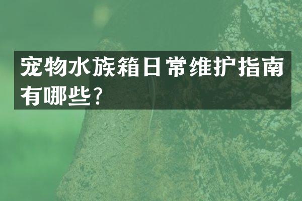 宠物水族箱日常维护指南有哪些？