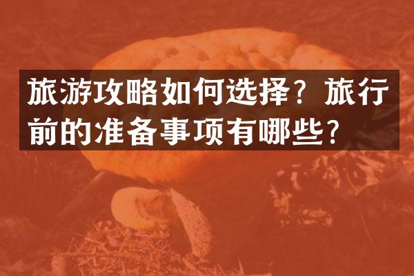 旅游攻略如何选择？旅行前的准备事项有哪些？