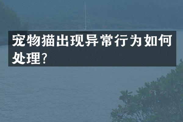 宠物猫出现异常行为如何处理？