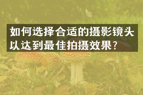 如何选择合适的摄影镜头以达到最佳拍摄效果？