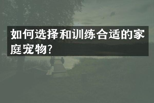 如何选择和训练合适的家庭宠物？