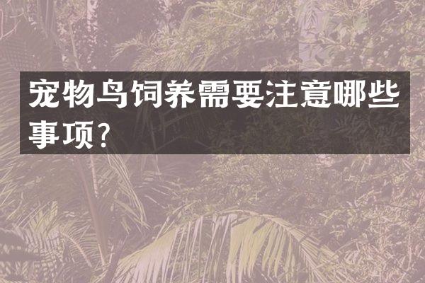 宠物鸟饲养需要注意哪些事项？