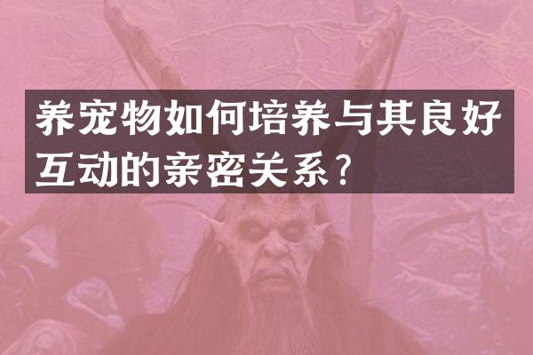 养宠物如何培养与其良好互动的亲密关系？