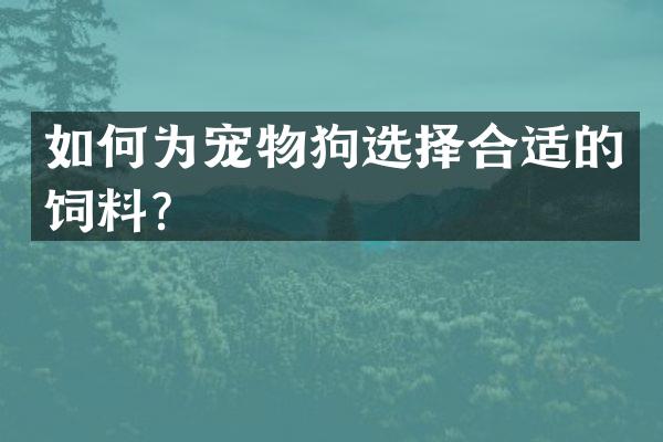 如何为宠物狗选择合适的饲料？