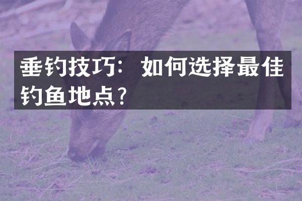 垂钓技巧：如何选择最佳钓鱼地点？