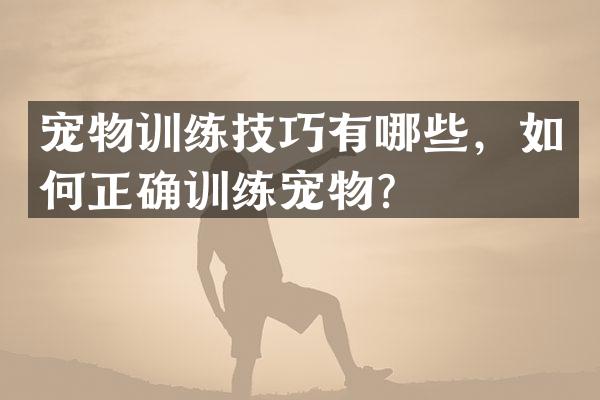 宠物训练技巧有哪些，如何正确训练宠物？