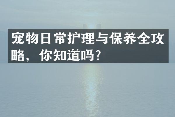 宠物日常护理与保养全攻略，你知道吗？