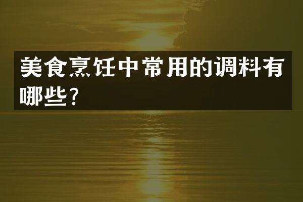 美食烹饪中常用的调料有哪些？