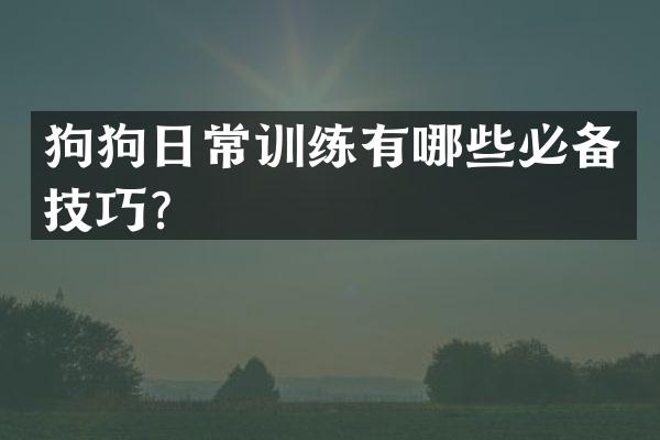 狗狗日常训练有哪些必备技巧？
