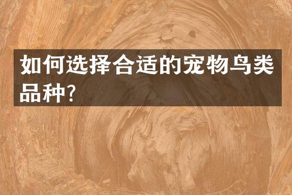如何选择合适的宠物鸟类品种？