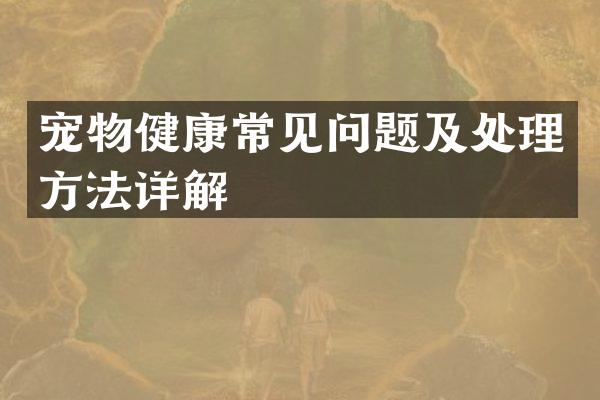 宠物健康常见问题及处理方法详解