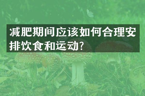 减肥期间应该如何合理安排饮食和运动？