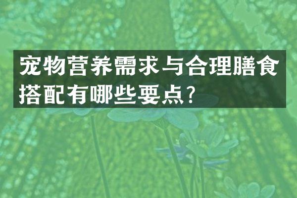 宠物营养需求与合理膳食搭配有哪些要点？