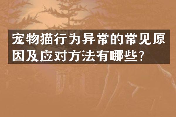 宠物猫行为异常的常见原因及应对方法有哪些？