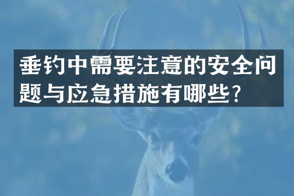 垂钓中需要注意的安全问题与应急措施有哪些？