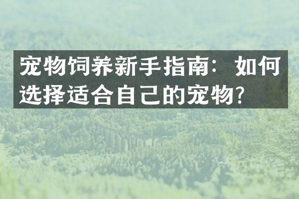 宠物饲养新手指南：如何选择适合自己的宠物？