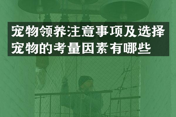 宠物领养注意事项及选择宠物的考量因素有哪些？