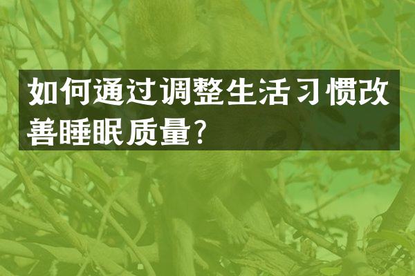 如何通过调整生活习惯改善睡眠质量？