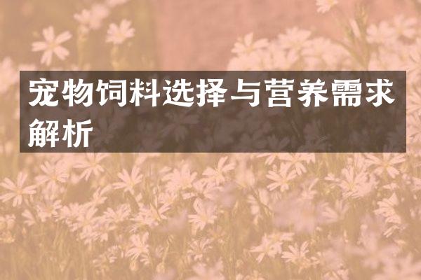 宠物饲料选择与营养需求解析