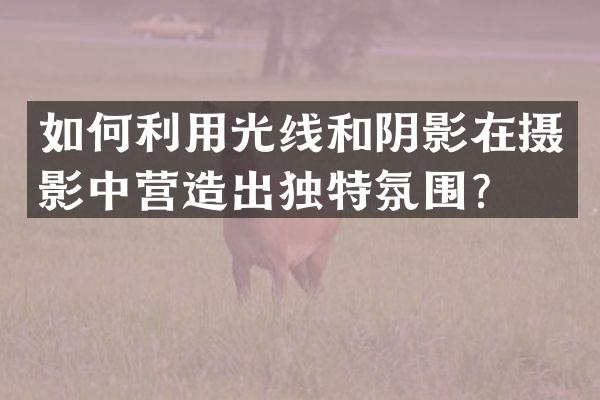 如何利用光线和阴影在摄影中营造出独特氛围？