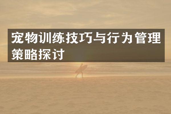 宠物训练技巧与行为管理策略探讨