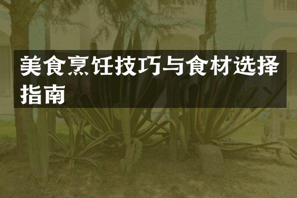 美食烹饪技巧与食材选择指南