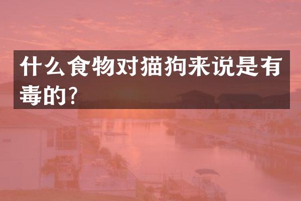 什么食物对猫狗来说是有毒的？