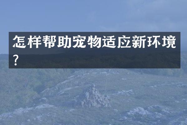 怎样帮助宠物适应新环境？