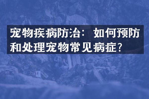 宠物疾病防治：如何预防和处理宠物常见病症？